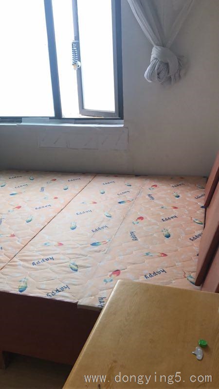 东营东城核心区域电梯房单间出租    