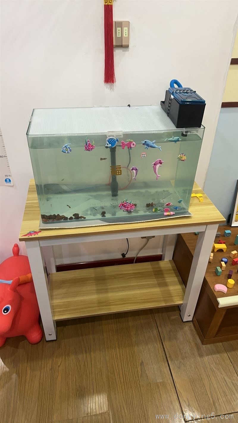 鱼缸