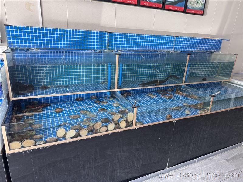 酒店海养鱼缸出售